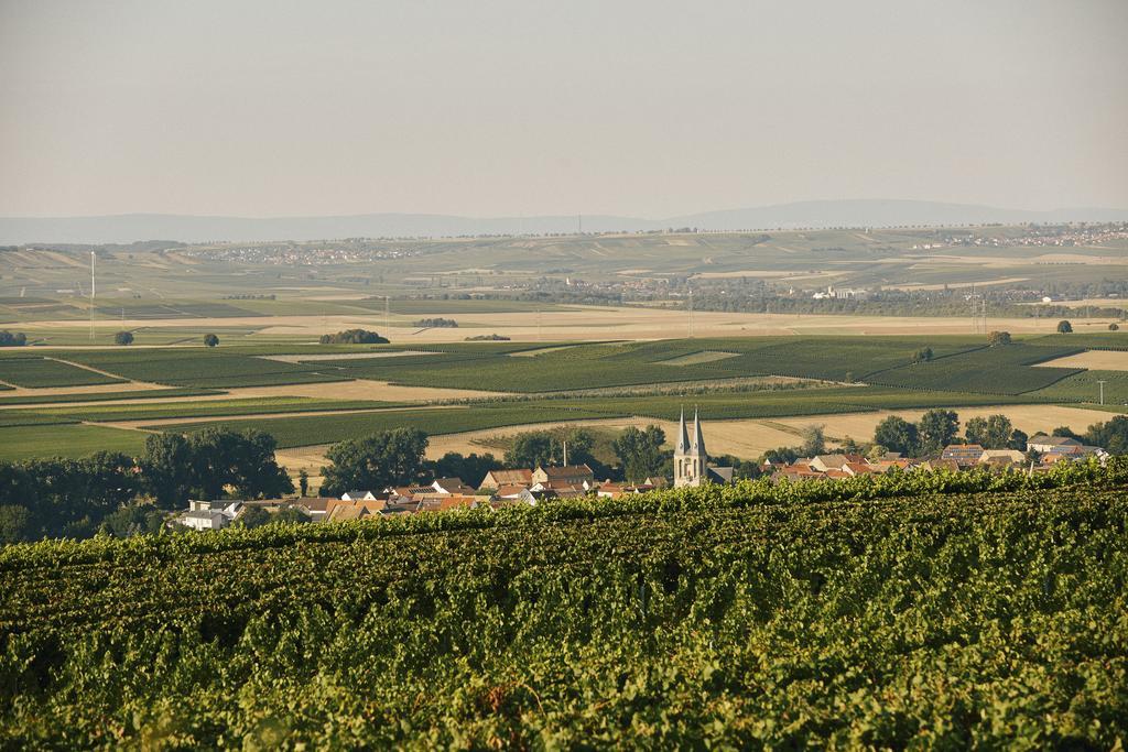 Meyerhof - Weingut, Vinothek&Gästehaus Flonheim Exterior foto